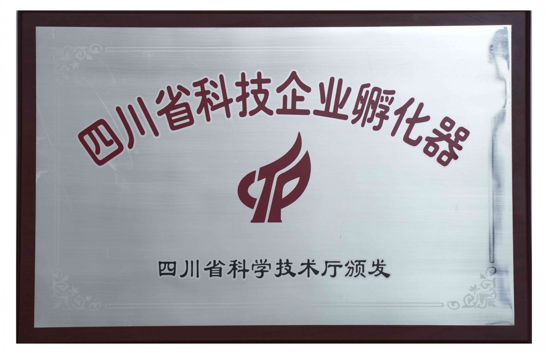 首届四川中小企业高质量发展大会 专精